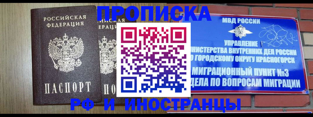 прописка в квартире в Лыткарино